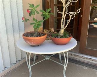 The plant on the left is sold. The one on the right and the table are available.