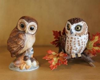 32Lenox and Andrea Owls