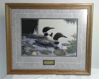 Wild America Loons by Derk Hansen