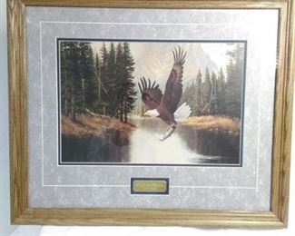 Wild America Eagle by Derk Hansen