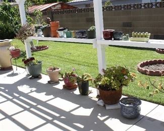 Adorable pots and Plants