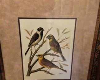 Coordinating framed bird print