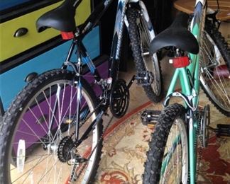 Shogun and Trail Blazer bikes