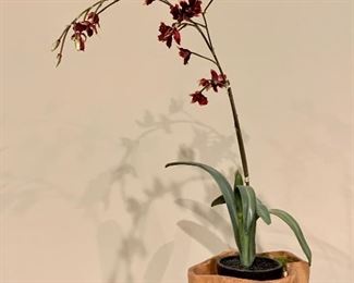 Item 12:  Faux Orchid - 9" x 10" Tall: $28