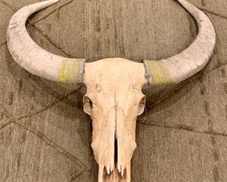 Item 40:  Enormous Water Buffalo Skull, 33 x 8 x 40: $225
