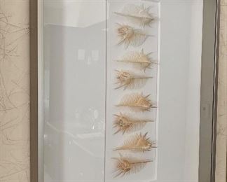 Item 119:  Spiny Shells, shadow box framing, signed by artist - lower right - 16" x 2.5" x 20" $225