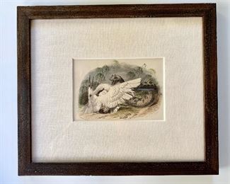Item 124:  Antique Framed Horned Desert Viper & Heron Hand Colored Etching, linen matte - 11.5" x 10: $125