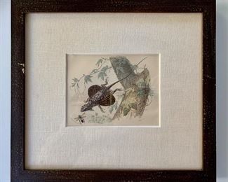 Item 125:  Antique Framed Flying Lizard Etching, linen matte - 11.5" x 10": $125