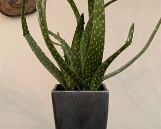 Faux Aloe Vera Plant: $18
