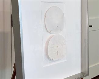 Item 178:  (2) Framed Sand Dollars - 16 x 2.5 x 20, shadow box framing, signed by artist - lower right: $225