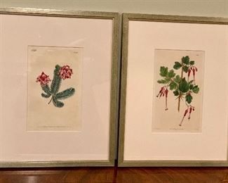 Item 159:  (2) Hand Colored Lithographs 12.25" x 15.5": $145 for pair