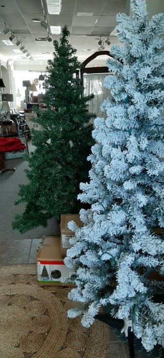 Christmas Trees - great for spare room or basement