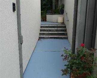 Wonderful Plants and Garden items