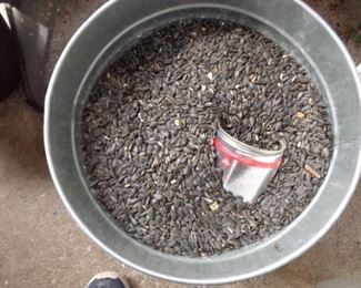 PLL #433 -  Pail with Seeds @ $20 ALL