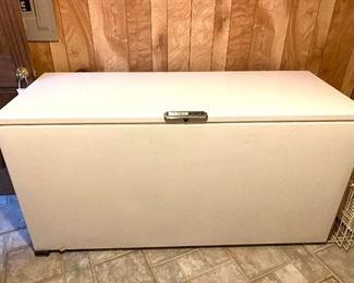 Large freezer