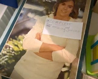Shaun Cassidy puzzle