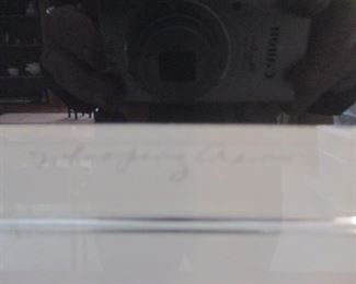 Whooping Cranes Lithograph