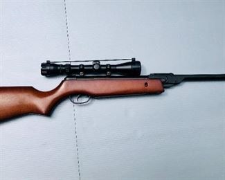 Ruger Model 10-22 Carbine .22 WIN.MAG Gun