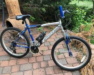 Magna Great Divide Bike 21 transitional speed