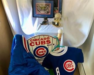Chicago Cubs Sports Memorabilia Bundle https://ctbids.com/#!/description/share/415334