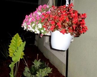 Annuals and planter hanger