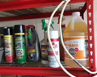 Tons of household chemicals, wasp spray, cleaners, solvents