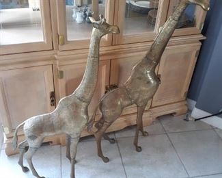 Two large brass giraffes