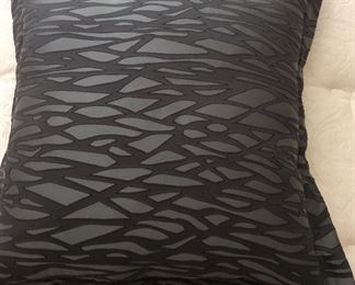 Large Decorative Pillow