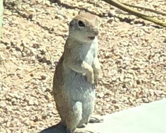 Hello! We’re so happy to see you again!