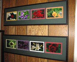 $25, pair of Floral photgraphs framed , 27 by 8 in each