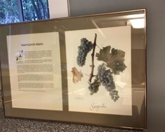 Sauvignon Blanc lithograph in frame $65