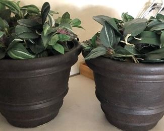 Silk Potted Plants