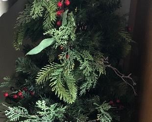 Small Holiday Tree