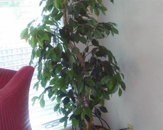 Artificial Ficus Tree