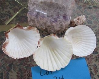 Lot 74 - Natural Quartz Amethyst Rock and shells              $ 15.00