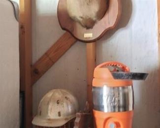 taxidermy, deer head