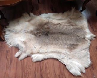 Living Room:  Wolf Pelt
