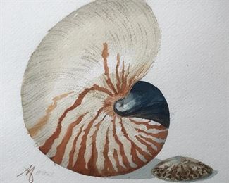 Signed Watercolor Seashell on Canvas Paper