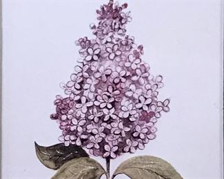 Lilac flower illustration