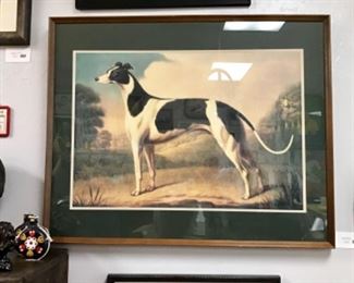 Greyhound print 