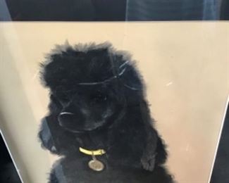 Another beautiful pastel by Detmold. There are about 15 of various dog breeds