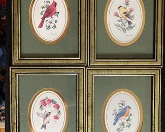 Vintage lithographs of birds by Kathy Seek