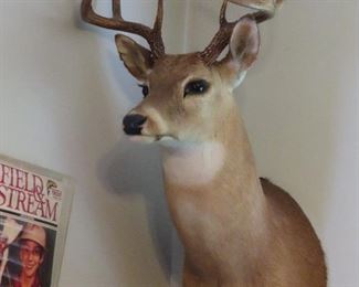 Deer Mount