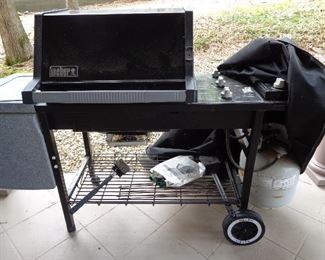 grill & many kabob thingys