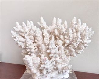 coral