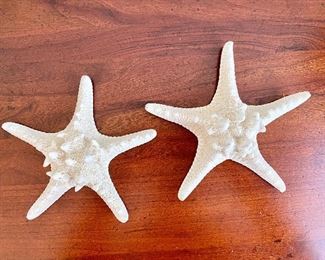 starfish