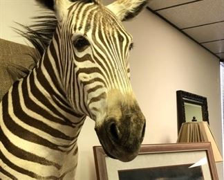 Zebra Mount