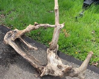 Large piece of natural driftwood. Could be used as a table base or display element. All natural and lovely. 3 feet across, about 2 1/2 feet high. $20