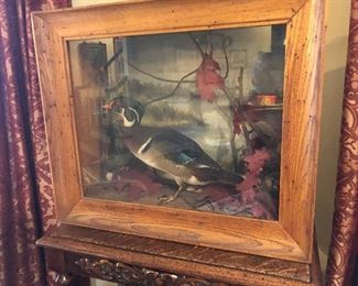 25% off now 295 was $395 Vintage Mounted Wood Duck Diorama Shadow Box Display Box
