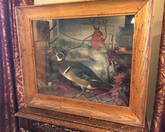 25% off now 295 was $395 Vintage Mounted Wood Duck Diorama Shadow Box Display Box